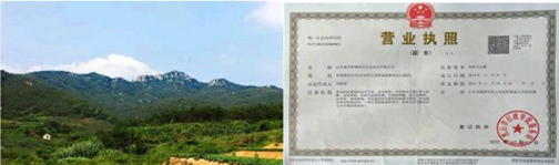 산과 약초 재배